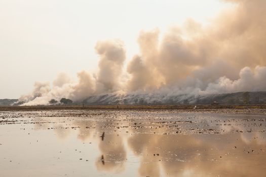 Burning garbage heap of smoke from a burning pile of garbage