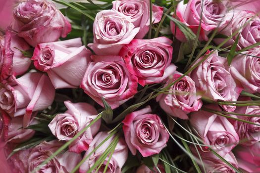 Bouquet of pink roses background, upper view