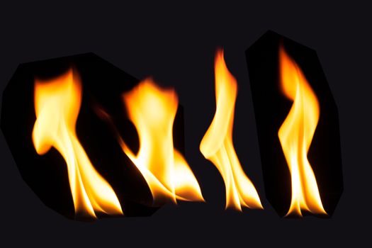 Burning fire flame on black background.