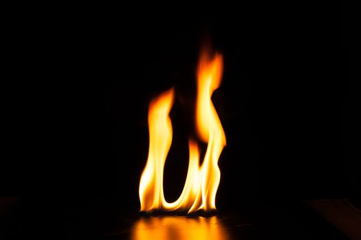 Burning fire flame on black background.
