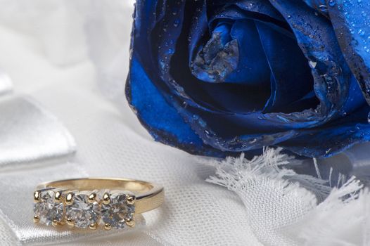 roses and wedding rings on white background