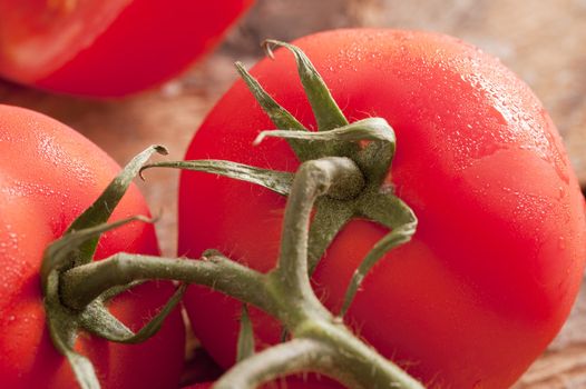 Detail close up on very ripe red tomatoes with green stems and moisture on the skin