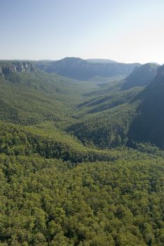 Tree lined Grose Valley in the Blue Mountains, located in New South Wales Australia