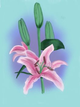 Hand drawn background with of a lily. Watercolor image illustration.