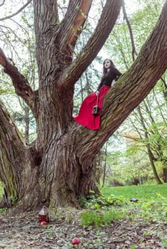 beautiful woman in a red dress with a lantern sits on a trunk in the forest