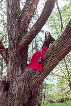 beautiful woman in a red dress with a lantern sits on a trunk in the forest