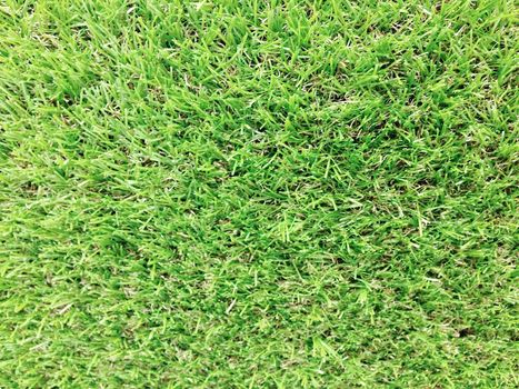 Close up of Artificial grass background and texture