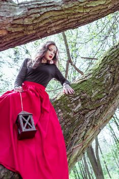 beautiful woman in a red dress with a lantern sits on a trunk in the forest