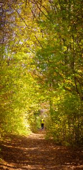 Woman walking on trail in autumn forest