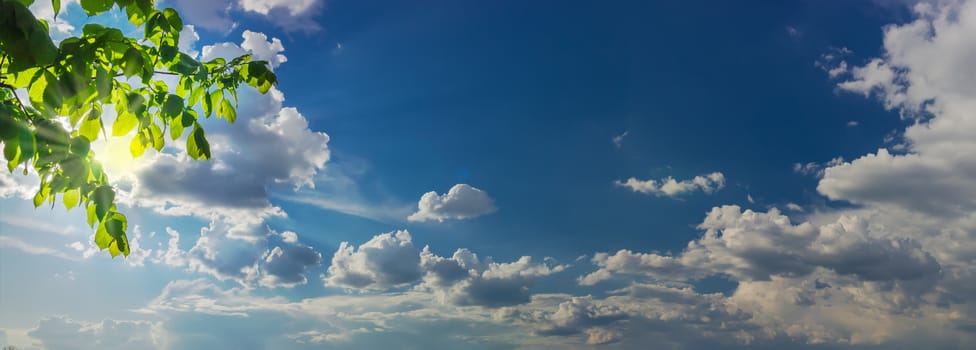 Sky panorama with the cumulus clouds and sun rays from behind the branches of the hornbeam and clouds in the left side
