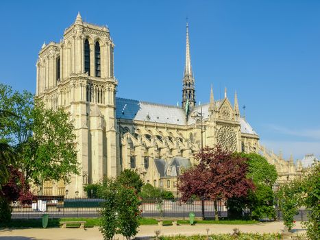 View of the towers and the southern facade of the Cathedrale Notre-Dame de Paris from the Square Rene Viviani in a spring day
