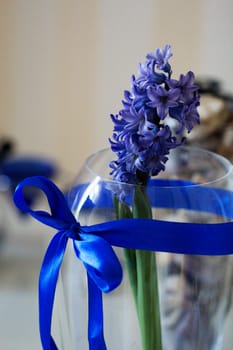 Beautiful hyacinth flowers in glass vase on light blurred background