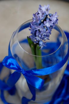 Beautiful hyacinth flowers in glass vase on light blurred background