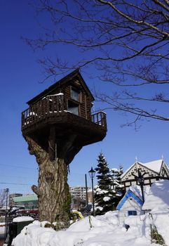 tree house architecture snow winter in Hokkaido, Japan