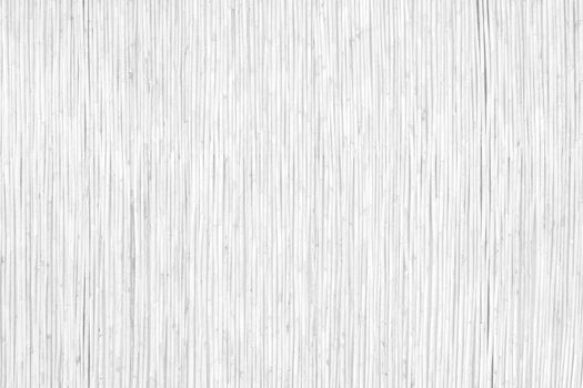 White Bamboo Background texture