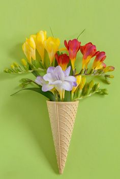 Freesias flowers in ice cream waffles 