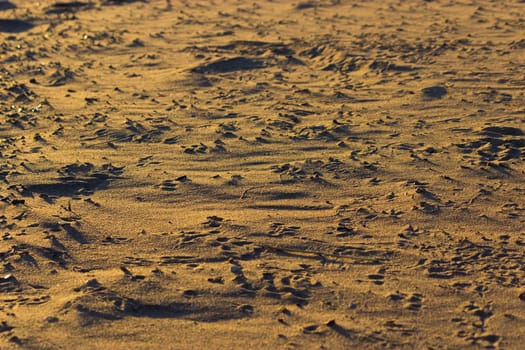 Close up beach sand background in warm sunset ligth