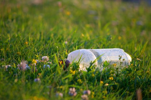 empty plastic bottle on a background of green grass