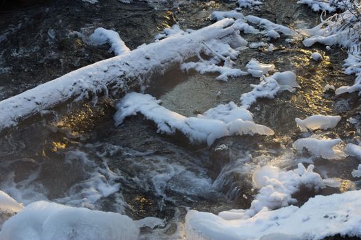 Beautiful river in winter forest with fairy trees sunlight