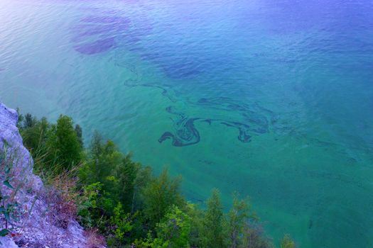 Beautiful sea landscape. rock and green trees