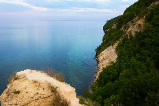 Beautiful sea landscape. rock and green trees