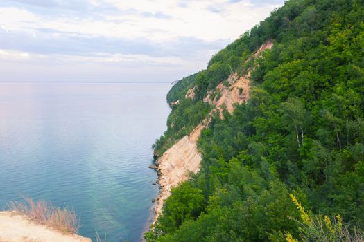 Beautiful sea landscape. rock and green trees