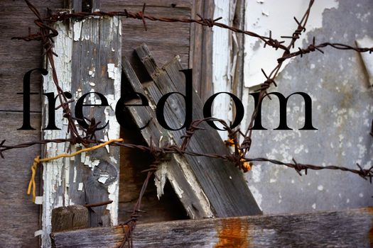 old abandoned grey wooden fence barbed wire