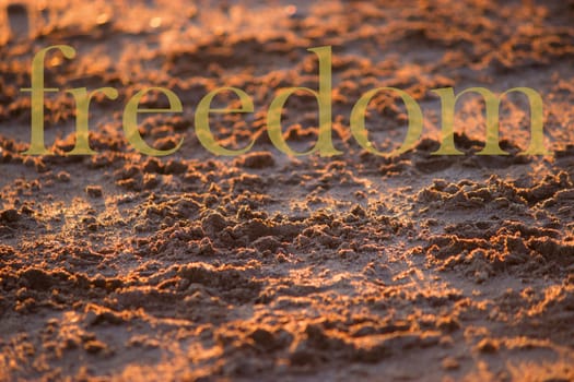 Close up beach sand background in warm sunset ligth