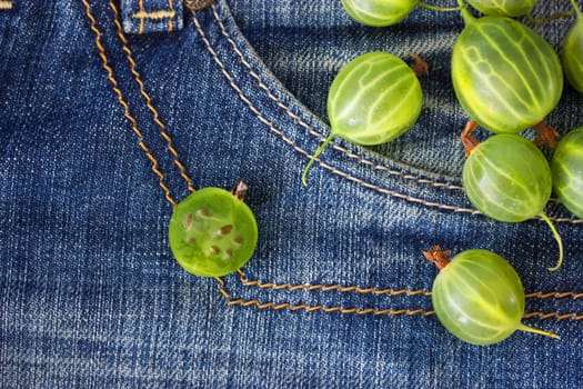 green ripe gooseberry on blue jeans background