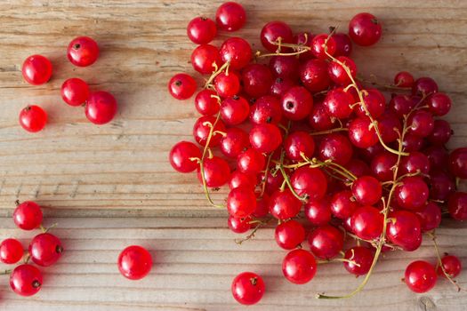 Red currants on wooden table. close up toned