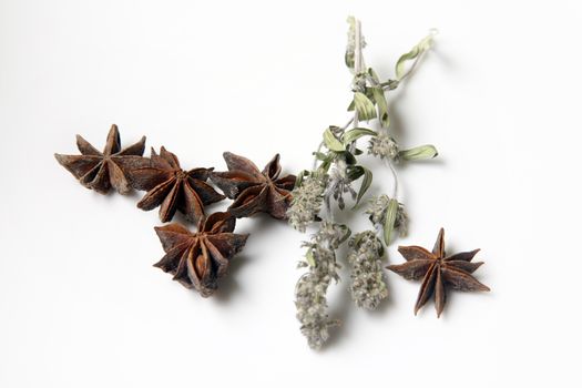 Star anise spice fruits and mint isolated on white background