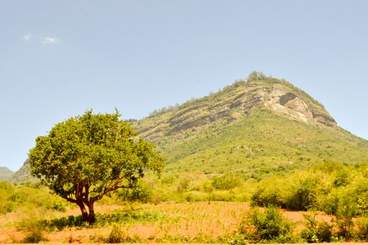 Hill in the Savannah of Tsavo West Park in central Kenya