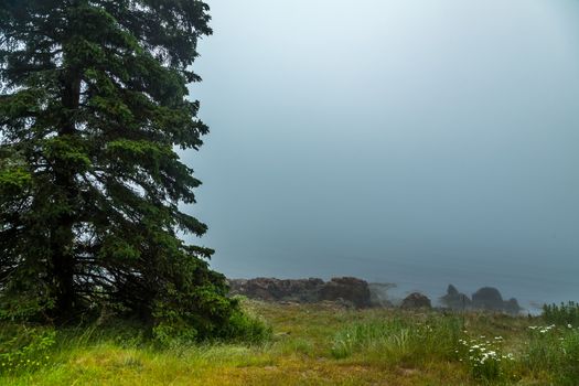 A morning fog lays over the Schoodic Peninsula at Acadia National Park in Maine.