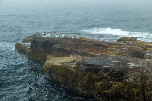 A morning fog lays over the Schoodic Peninsula at Acadia National Park in Maine.