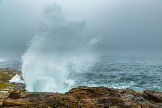 A morning fog lays over the Schoodic Peninsula at Acadia National Park in Maine.