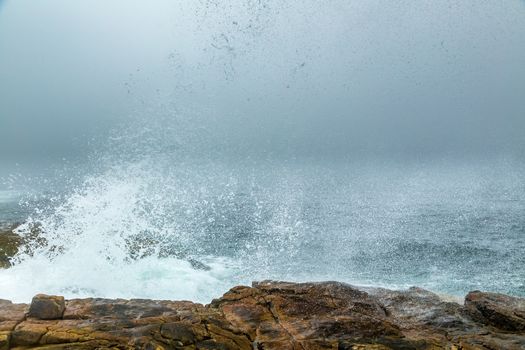 A morning fog lays over the Schoodic Peninsula at Acadia National Park in Maine.