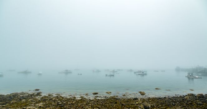 A morning fog lays over the Schoodic Peninsula at Acadia National Park in Maine.