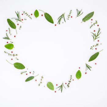 Heart shaped frame various fresh herbs rosemary, sage ,thyme and peppermint leaves flat lay with central copy space on white wooden background.