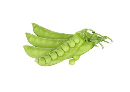 String bean isolated on a white background.