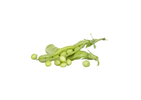 String bean isolated on a white background.