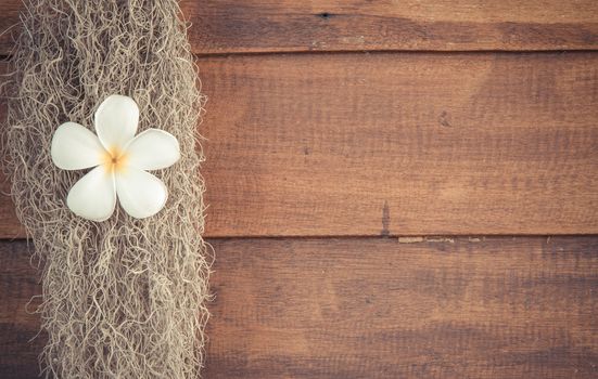 Frangipani flower on wood floor, design for background