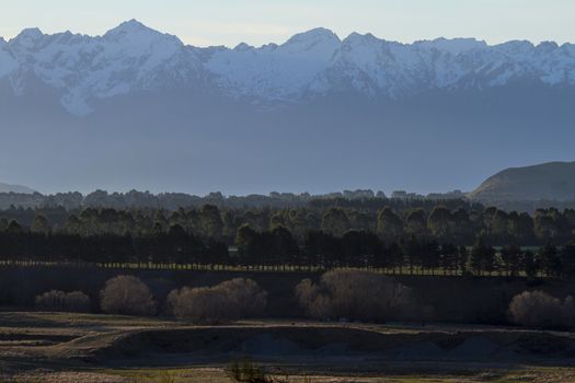 The forest in the mountains. New Zealand