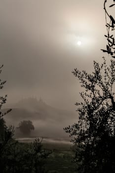 Mysterious foggy morning after the sunrise in the Tuscany land, Italy