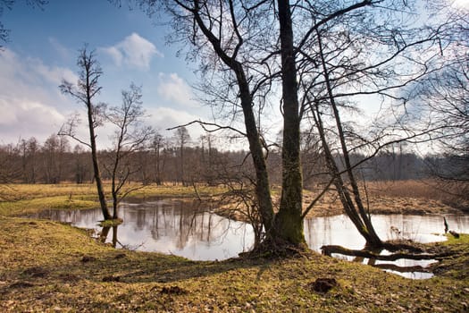 Spring stream. Early spring on small river. Mud season. Sunny spring