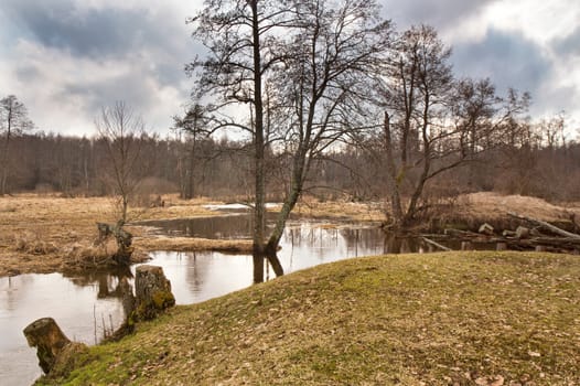 Spring stream. Early spring on small river. Mud season. Cloudy spring