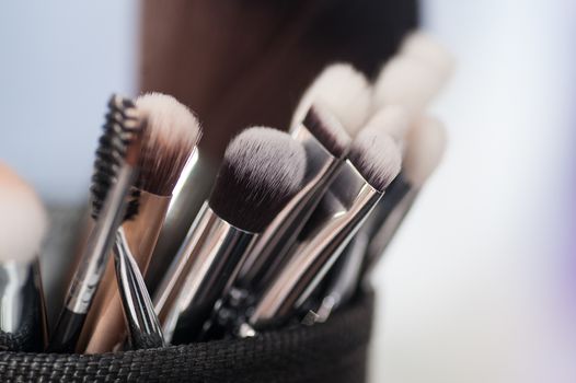 Professional Make up brushes in box close-up
