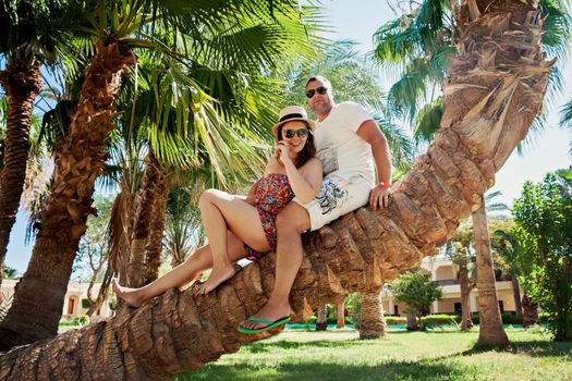 Romance. Youth and recreation. Young love couple sitting on a palm tree, and laugh together while relaxing