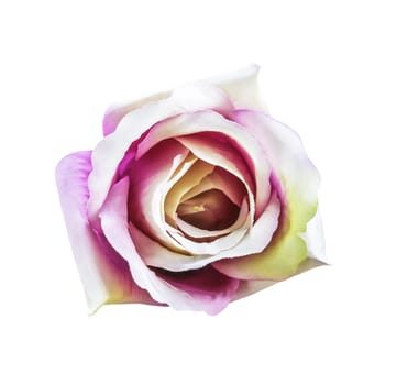 Artificial rose flower isolated on white with clipping path