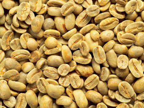 Green coffee beans as background. Top view or flat lay. Closeup. Image with natural colors
