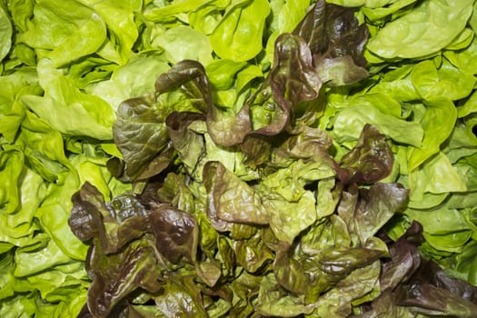 Fresh fruits and vegetables at the grocery store